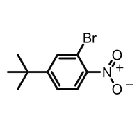 CAS No. de buena calidad. :860687-69-0 |   2-Bromo-4-(terc-butil)-1-nitrobenzeno al mejor precio
