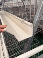 Cage à batterie de type A pour poules pondeuses avec système d'alimentation automatique – Équipement avicole de qualité supérieure du fabricant