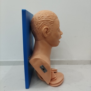 Pronto soccorso medico <span class=keywords><strong>CPR</strong></span> manichini formazione di emergenza per via orale e nasale intubazione tracheale modello di insegnamento con allarme di compressione dei denti - Product Image 4