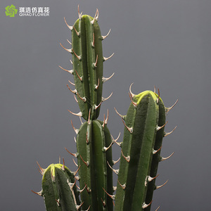 Cactus Artificial en Maceta, Decoración de Interiores, Adorno de Escritorio de Alta Simulación, Material Plástico, Decoración del Hogar - Product Image 3