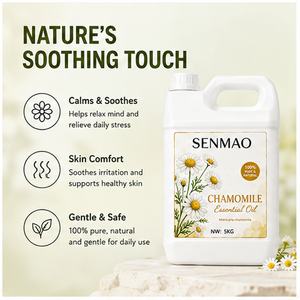 <span class=keywords><strong>Aceite</strong></span> Esencial <span class=keywords><strong>de</strong></span> Manzanilla al por Mayor para el Cuidado <span class=keywords><strong>de</strong></span> la Piel, Hidratación, Relajación y Aromaterapia, Proveedor Mayorista - Product Image 5