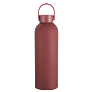 Sports Outdoor Narrow Mouth Rubber Painting Eco-friendly Cup <b>Flask</b> With Handle Lid - Product Image 6