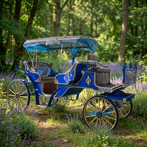 Fabricant de calèches de tourisme, calèches européennes à chevaux, chariots à chevaux, véhicules à chevaux pour mariages - Product Image 1