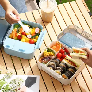 New Style Outdoor Cold Preservation Picnic Lunch Box Large Capacity Bento Box Portable Divided Salad For Spring Outing