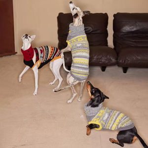 Pakaian hewan peliharaan rajut modis lembut, pakaian hewan peliharaan untuk kegiatan dalam dan luar ruangan, pakaian hewan anjing peliharaan - Product Image 3