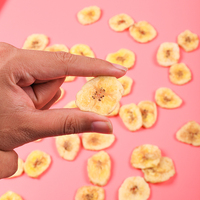 Chips de banane VF Banane fraîche frite sous vide Vente en gros Séchage Chips sains Fruits déshydratés Snack aux fruits chinois Vente à chaud