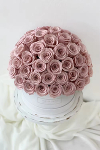 Boîte de roses <span class=keywords><strong>éternel</strong></span>les à fleurs séchées naturelles <span class=keywords><strong>éternel</strong></span>les Roses préservées boîte de dôme de champignon pour la décoration de la maison de la fête des mères - Product Image 5