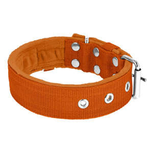 OEM <span class=keywords><strong>2</strong></span> pulgadas táctico perro <span class=keywords><strong>Collar</strong></span> acolchado <span class=keywords><strong>Martingale</strong></span> media Correa galgo collares Material de nailon remache personalizable impresión <span class=keywords><strong>Collar</strong></span> para mascotas - Product Image 3