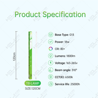 Tubo de Luz LED T8 de Vidrio con Radar, Económico y de Alta Calidad, G13 18W 1800LM, Luces LED Inteligentes para el Hogar