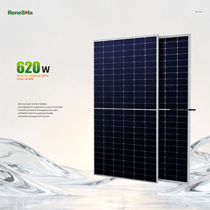 Module photovoltaïque bifacial de type N de marque Rene Bloomberg Tier1 620W avec panneaux en verre double - Product Image 1