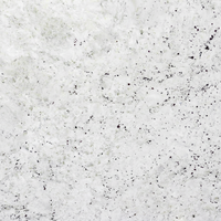 Dalles de granit blanc colonial poli SILO CW362 avec garantie de 5 ans - Design moderne pour comptoirs de cuisine, salles de bain et marches d'escalier