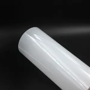 OCBESETJET 30CM*100M DTF Pet 75U Thickness Double-Sided Release Roll Film For Epson L1800