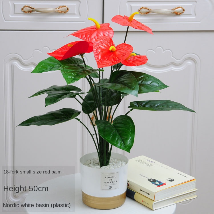 9-18 fourchettes petit anthurium