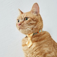 Collier de sécurité personnalisé avec clochette détachable pour animaux de compagnie (chats, chiens, chiots, chatons) – Fournitures et équipement sur mesure OEM en gros