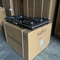 Table de cuisson encastrable en acier inoxydable avec brûleurs à gaz et plaque vitrocéramique, cuisinière combinée gaz-électrique