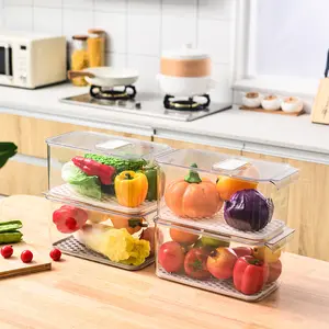 冰箱简易沥干新鲜蔬菜、水果、鸡蛋、饺子、带盖塑料、透明储物盒
