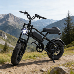 <span class=keywords><strong>Vélo</strong></span> de montagne <span class=keywords><strong>électrique</strong></span> tout-terrain AFTFA avec pneus larges antidérapants à forte adhérence pour boue, sable et roche - Product Image 2