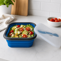Conteneur alimentaire pliable carré portable de 1000 ml avec couvercle, compatible micro-ondes, réutilisable, boîte à lunch en silicone pour le camping