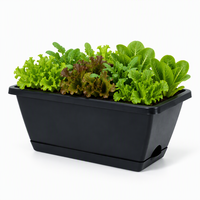 Pot de fleurs rectangulaire en plastique, long et étroit, pour la culture de légumes, en PP, durable, léger, avec indicateur de niveau d'eau simple