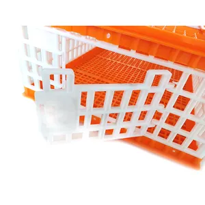 Transport 10-15 chicken plastic transport crate plastic poultry transport cage with 3 doors