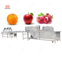 Bessen Elektronische Reinigingslijn Machine Automatische Fruit Appel Citrus Sortering Waslijn Aardbei Wassen En Drogen Lijn