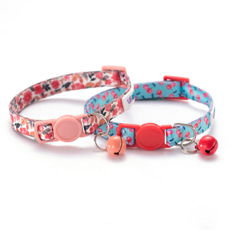 Goût et fleurs de cerise