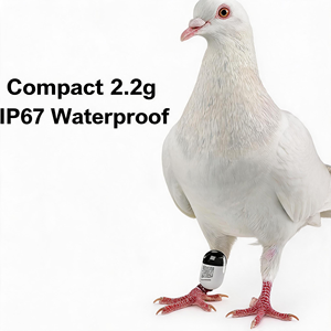 Rastreador Antipérdida BT Ultraligero de 2.2g para Loros, Guacamayos y Cacatúas, Compatible con Aplicación Móvil - Product Image 5