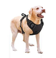 Harnais pour chien réglable à libération rapide, anti-traction, avec conception ergonomique, en maille respirante, réfléchissant et robuste
