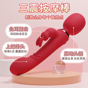 Vibrateur PeterTheGreat 26,2 cm Rouge Étanche Rechargeable Stimulateur Clitoridien Contrôle Manuel par Bouton Jouet Sexuel pour Adultes - Product Image 4