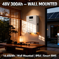 Baterai Lithium 48V 300Ah 14kWh untuk Sistem Surya All in One yang Dipasang di Dinding dengan Roda