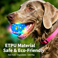 Balle pour animaux de compagnie intelligente, électrique, rechargeable, LED clignotante, télécommandée, en caoutchouc, simple, écologique, haute élasticité, jouet automatique pour