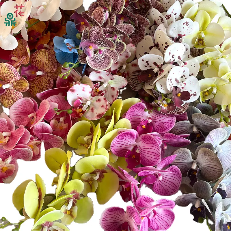 Lfh 9 Hoofd Phalaenopsis Enkele Tak Film Interieurdecoratie Bloemen Zijde Hoge Kwaliteit Fabriek Directe Verkoop Flowe