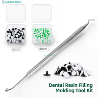 Kit d'outils de moulage pour composites dentaires à polymérisation rapide, instrument de sculpture antiadhésif pour blanchiment et restauration dentaire Harbor Dent