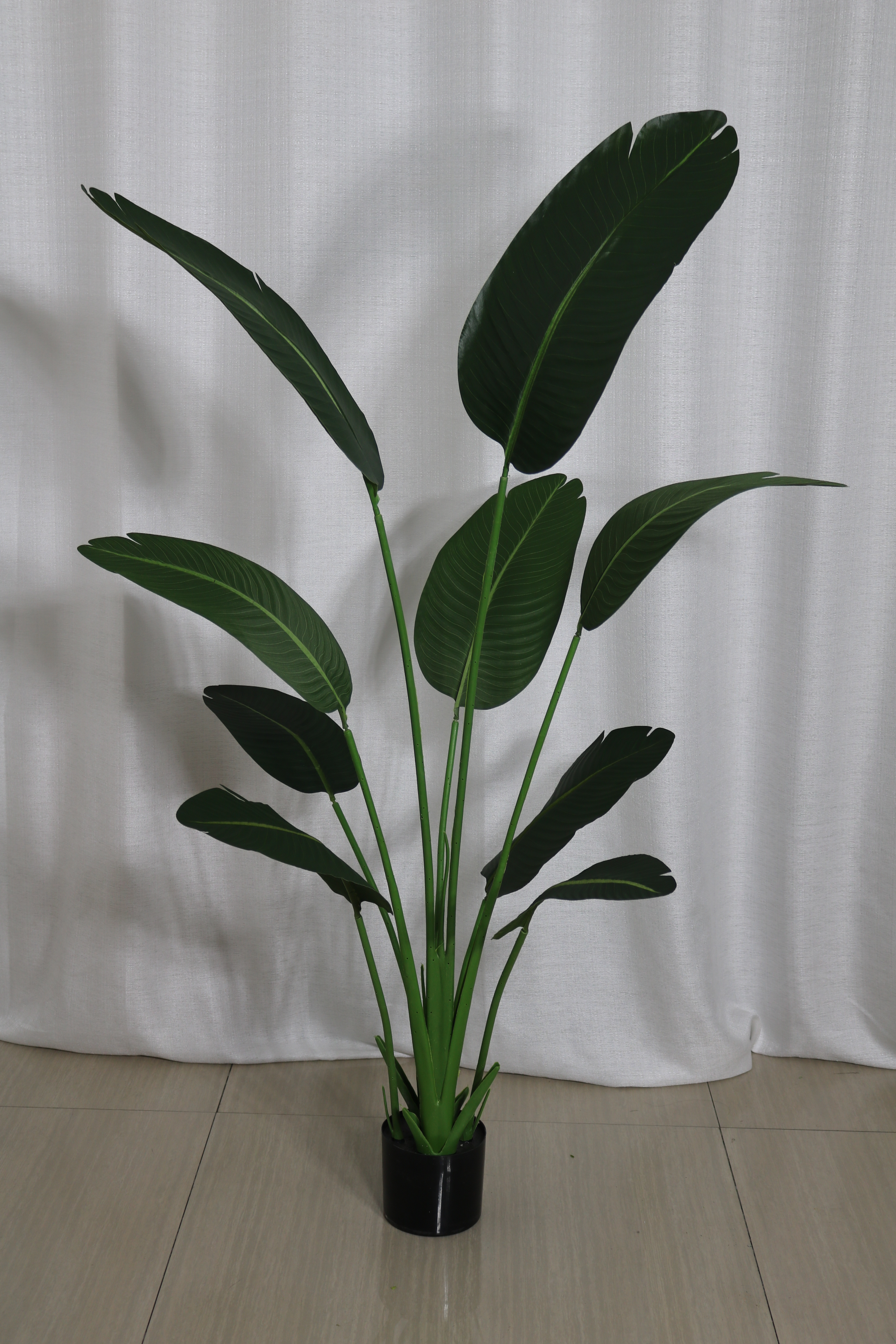 140cm/árbol del viajero