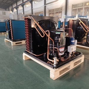 Tiết kiệm năng lượng mới nhỏ hộ gia đình đơn vị làm lạnh tecumseh máy nén làm mát bằng không khí ngưng tụ đơn vị R404a lạnh động cơ - Product Image 6