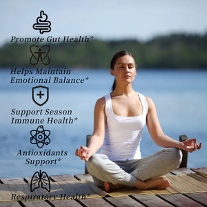 High Quality Oregano Oil Softgels with Oil of Oregano Improves Brain Function Support Eaental Health Boost Wellness Softgels - Product Image 4