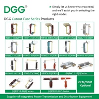 DGG Fusible d'expulsion haute performance en caoutchouc silicone pour protection de transformateur de distribution extérieur haute tension