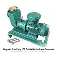 Pompe auto-amorçante à entraînement magnétique en acier inoxydable 1,1 kW certifiée ISO, paramètres personnalisés, pour l'industrie chimique, vente directe usine