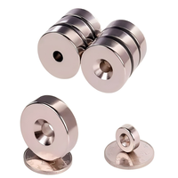 Aimant néodyme robuste nickelé sur mesure N52 N35, petit disque rond fraisé avec trou pour vis, aimant industriel