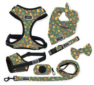 All-in-One Set kerah <span class=keywords><strong>Harness</strong></span> anjing ukuran kecil dan tali pengikat kulit PU tahan air lepas cepat dan PVC dibuat dari poliester - Product Image 6