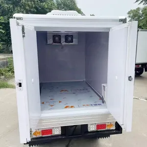Custom Ice Box Trucks Food Room Delivery Electric Tricycles 3 Wheel Refrigerated Cargo