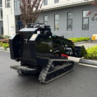 Livraison Gratuite, Mini-chargeuse compacte 500 kg économique, Euro 5, CE, EPA, avec moteur, pompe et boîte de vitesses de haute performance