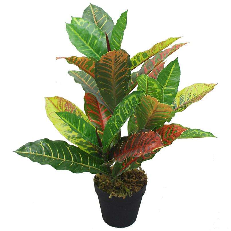 สีที่กำหนดเอง