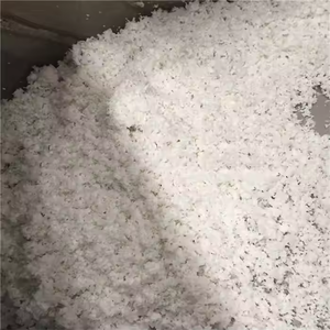 เครื่องบดเนื้อมะพร้าวสแตนเลส 304 ความจุสูง / เครื่องบดมะพร้าว / เครื่องบดเนื้อมะพร้าวพร้อมมอเตอร์ - Product Image 5