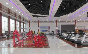 Ventes <span class=keywords><strong>en</strong></span> <span class=keywords><strong>ligne</strong></span> exceptionnelles : Machine d'entraînement multifonctionnelle pour la force, équipement professionnel de station de gym pour exercices anaérobiens - Product Image 5