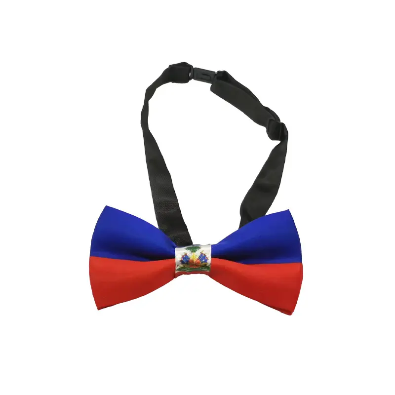 Impression numérique drapeau de pays haïtien Logo 100% soie noeud papillon cou Blouses de haute qualité pour les garçons