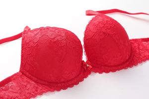 Sous-vêtements respirants pour femme, joli Design traditionnel, ensemble de <span class=keywords><strong>soutien</strong></span>-<span class=keywords><strong>gorge</strong></span> et culotte en <span class=keywords><strong>dentelle</strong></span> - Product Image 4