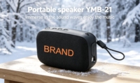 Mini haut-parleur amplificateur sans fil portable, son stéréo alimenté par batterie rechargeable, petit haut-parleur audio pour intérieur, extérieur et voyage