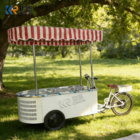 Mobiele ijskar met vriesvak, te koop. Draagbare koelplaat gelato kar voor buitenactiviteiten.