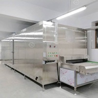 Instant Explosie Groente Transportband Bevriezen Flash Fish Freeze Quick Vriezer Machine Kip Koeltunnel